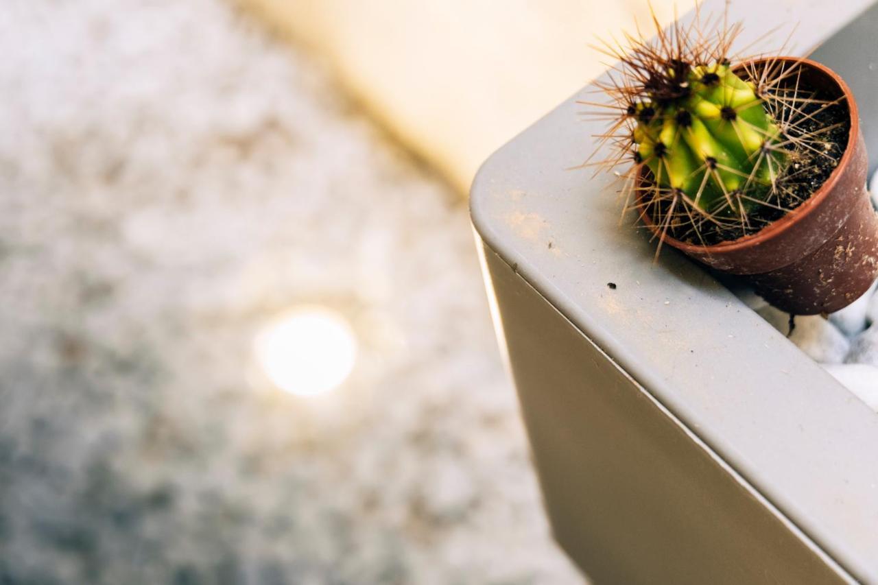 In Centro Da Viola - Eco Design Rooms オルビア エクステリア 写真